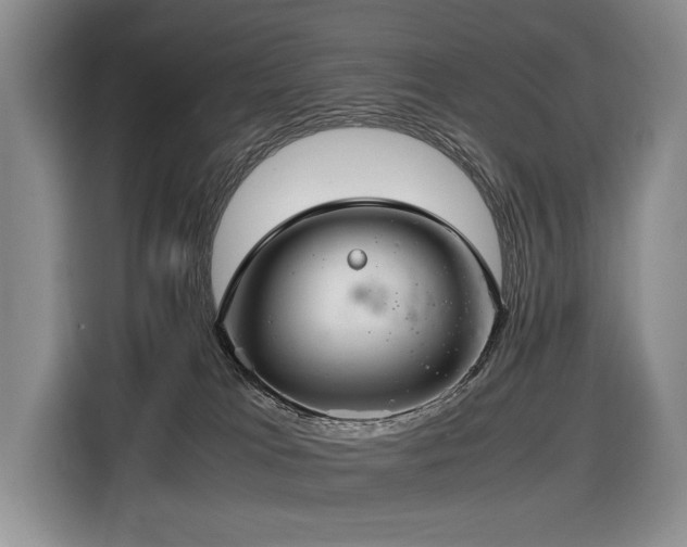 X0000116420037200912081513
