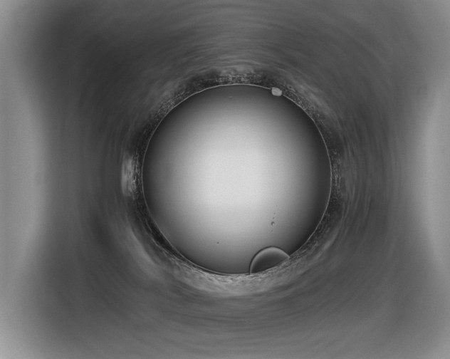 X0000116420038200912081513