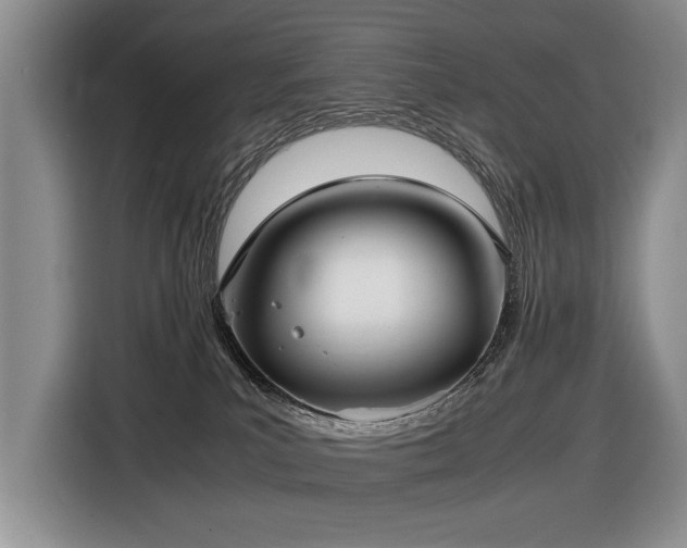X0000116420039200912081513