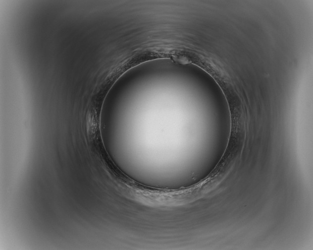 X0000116420040200912081513