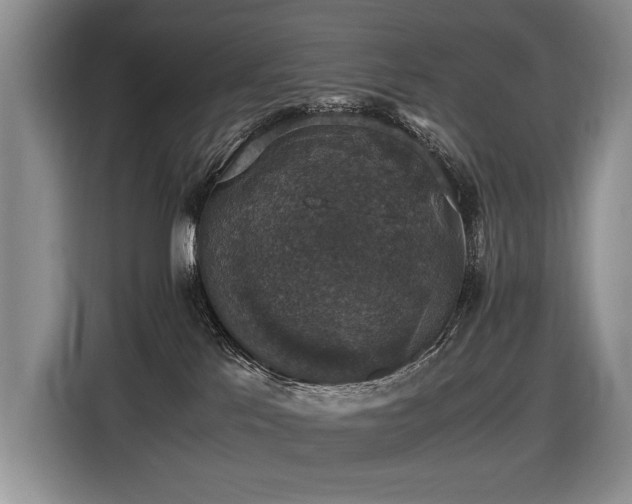 X0000116420041200912081513