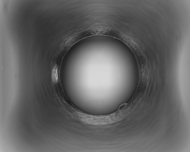 X0000116420042200912081513