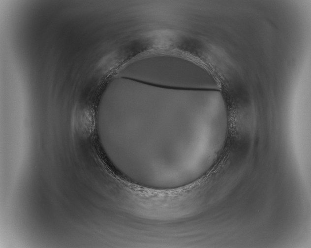 X0000116420043200912081513