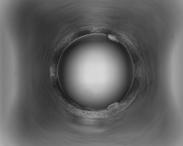 X0000116420044200912081513