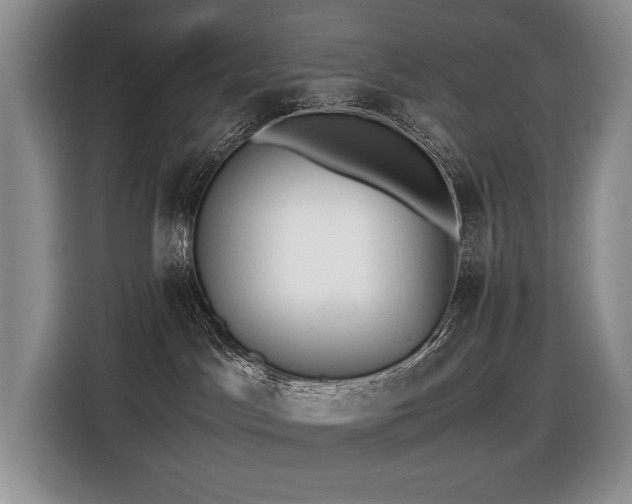 X0000116420045200912081513