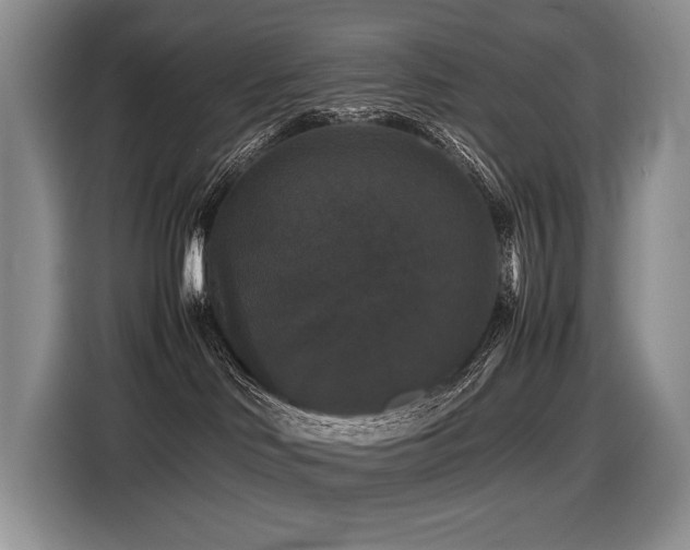 X0000116420046200912081513