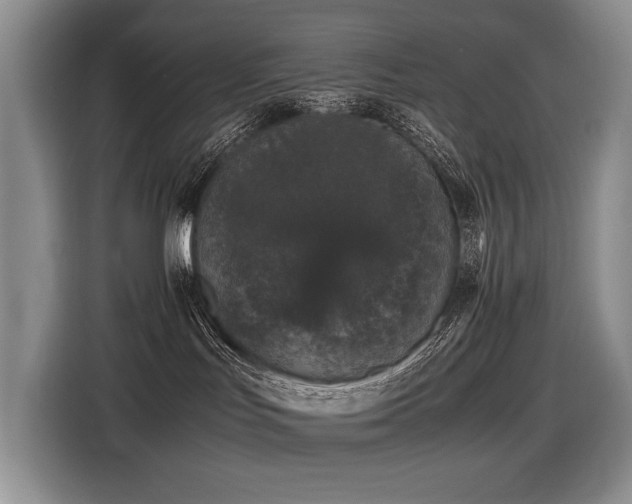 X0000116420047200912081513