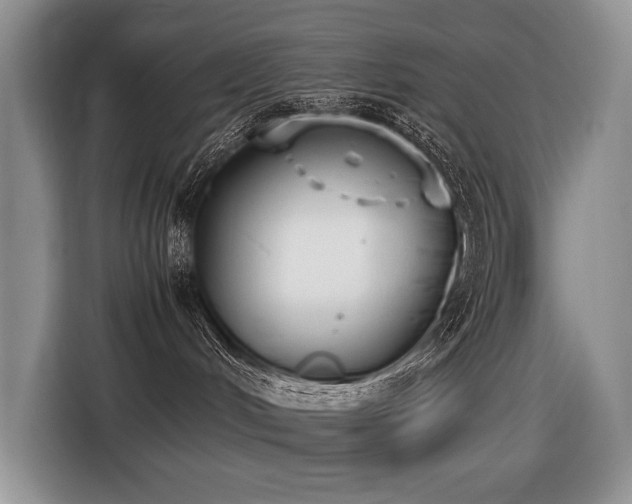 X0000116420048200912081513