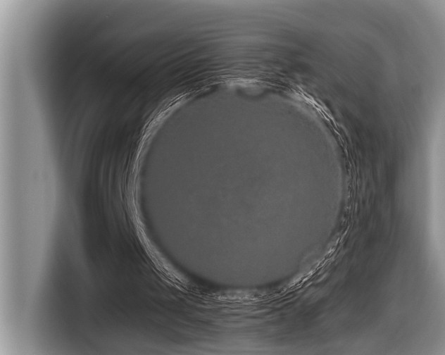 X0000116420049200912081512