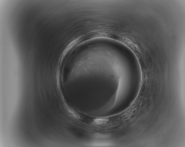 X0000116420051200912081512