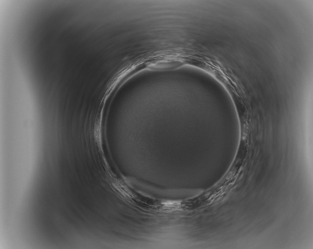 X0000116420052200912081512