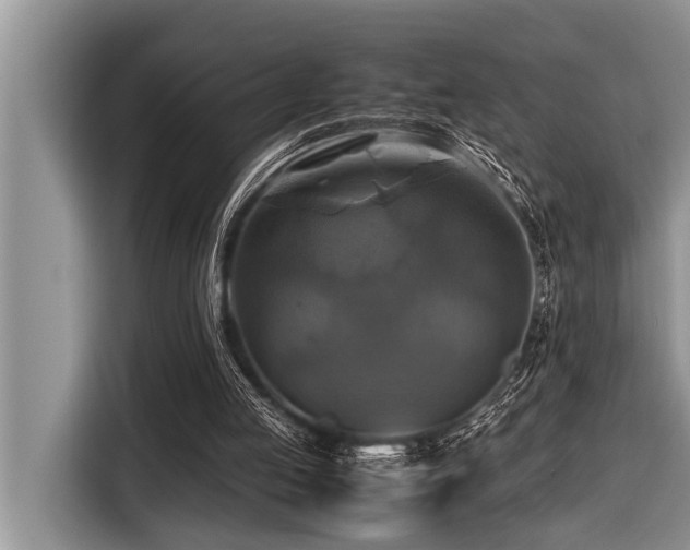 X0000116420053200912081512