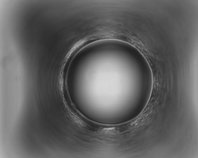 X0000116420054200912081512