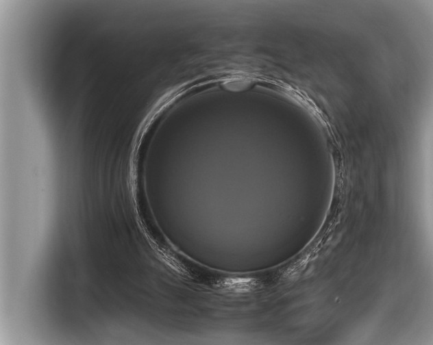 X0000116420055200912081512