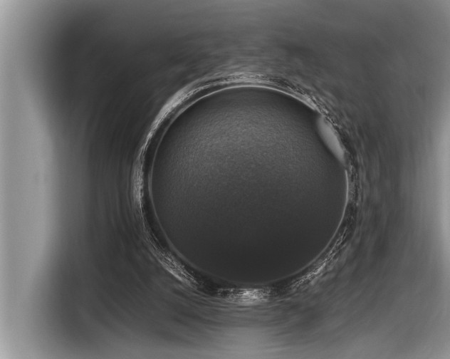 X0000116420056200912081512