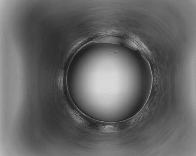 X0000116420058200912081512