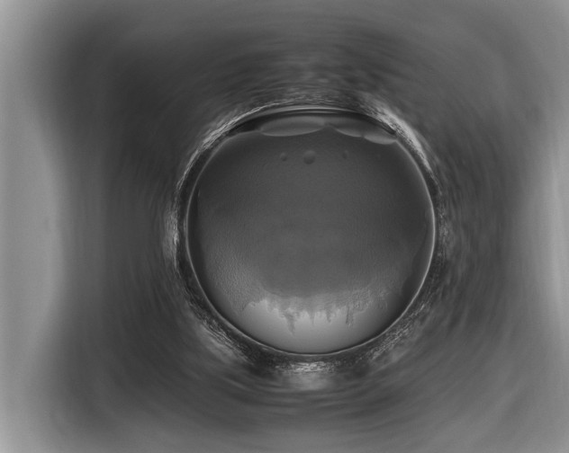 X0000116420059200912081512
