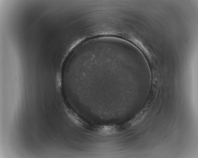 X0000116420060200912081512