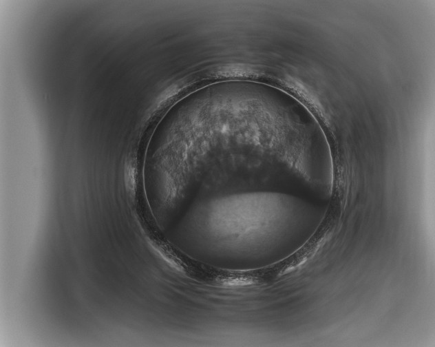 X0000116420063200912081512