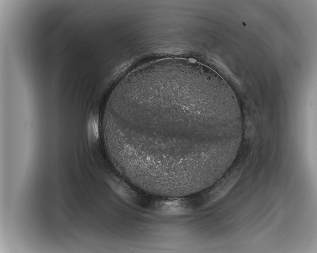 X0000116420068200912081512