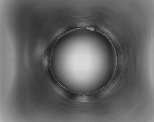 X0000116420071200912081512