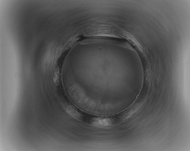 X0000116420073200912081512
