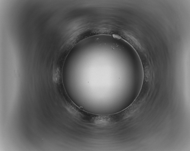 X0000116420077200912081512