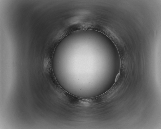 X0000116420079200912081512