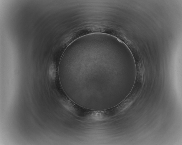 X0000116420080200912081512