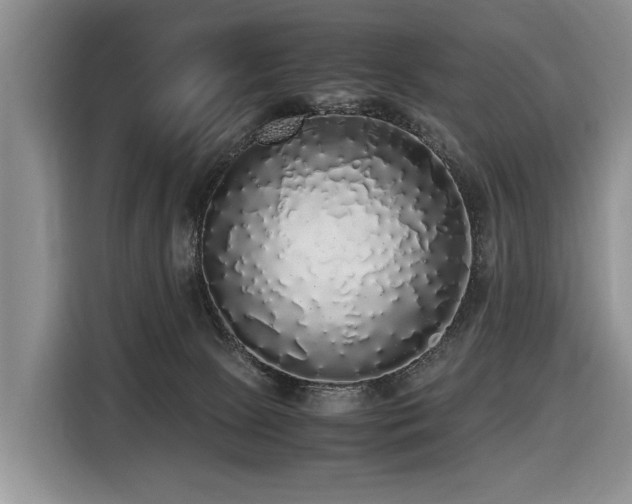 X0000116420081200912081512