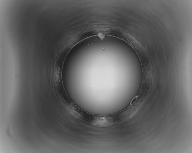 X0000116420083200912081512
