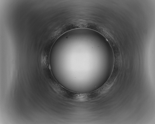 X0000116420088200912081512