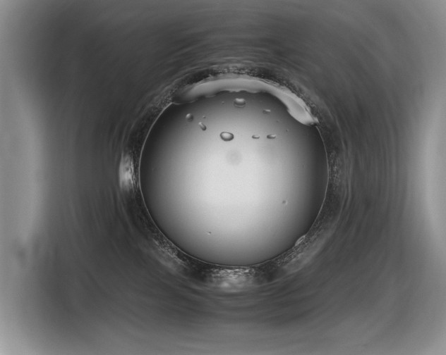 X0000116420089200912081512