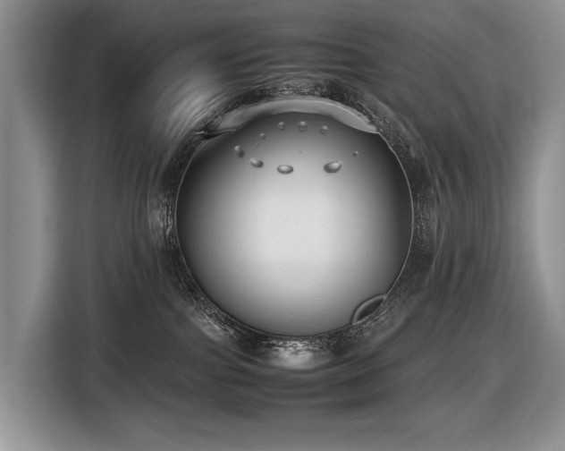 X0000116420091200912081512