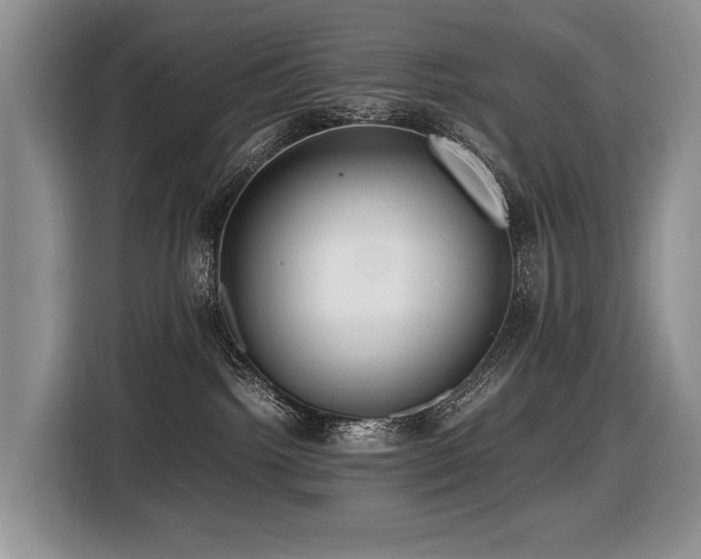X0000116420092200912081513