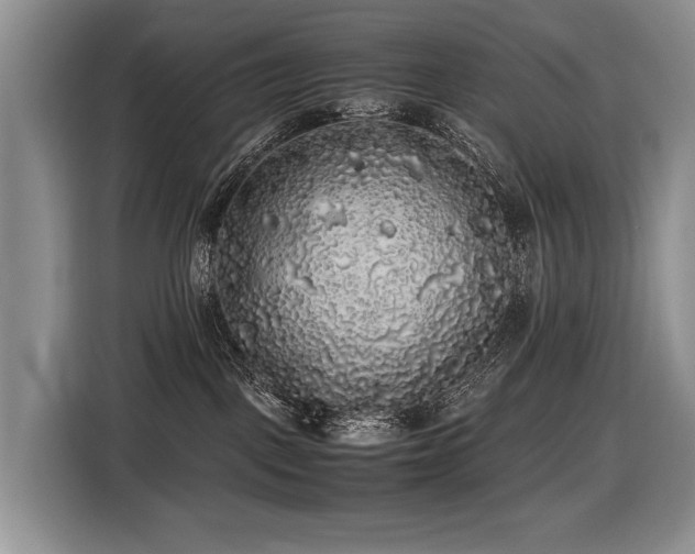 X0000116420093200912081513