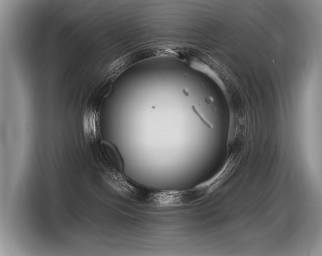 X0000116420094200912081513