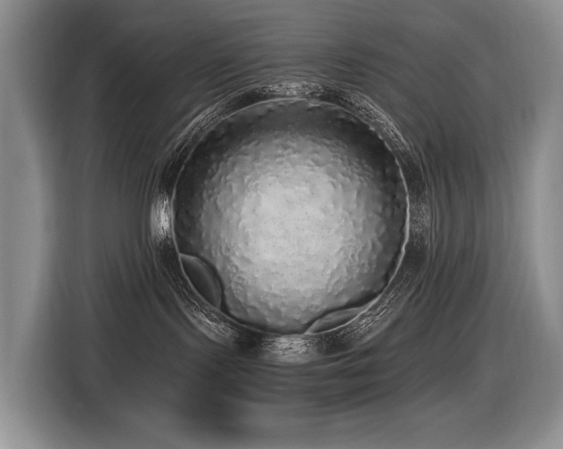 X0000116420095200912081513