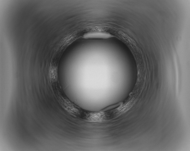 X0000116420096200912081513