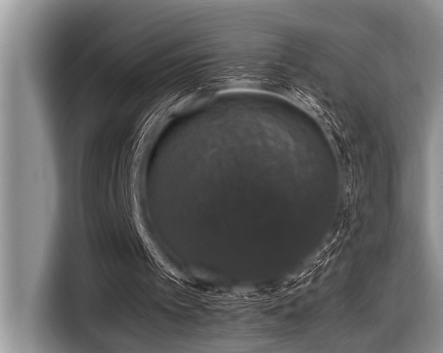 X0000116420097200912081512