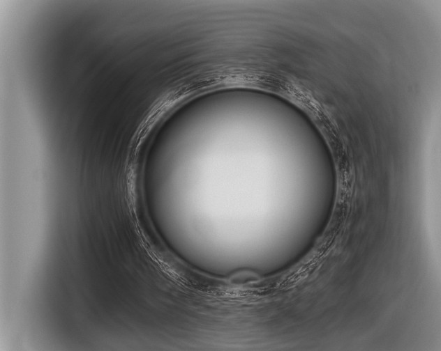 X0000116420098200912081512