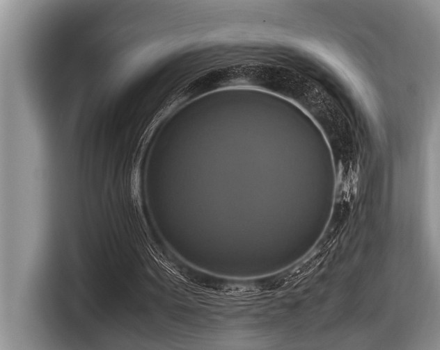X0000116420099200912081512