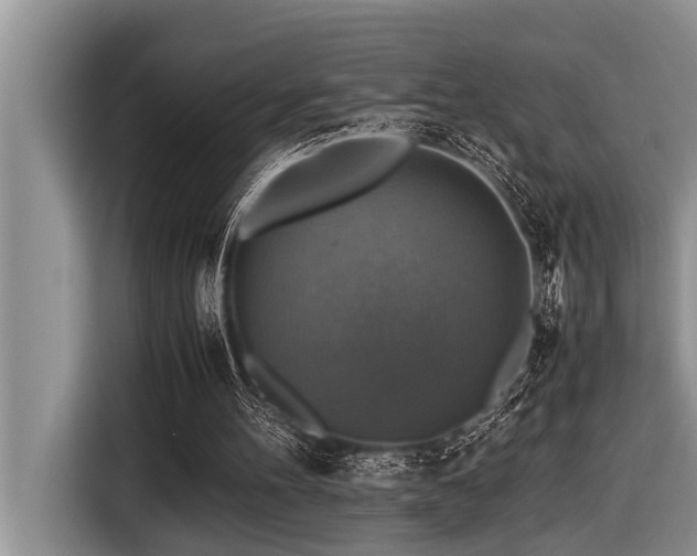 X0000116420100200912081512