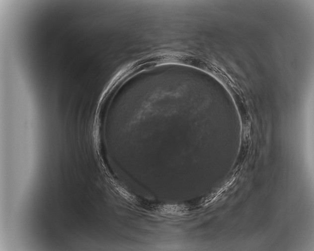 X0000116420101200912081512