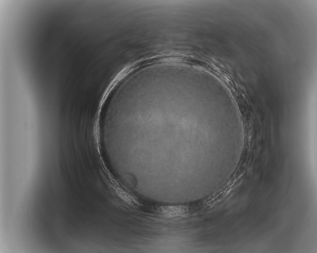 X0000116420102200912081512