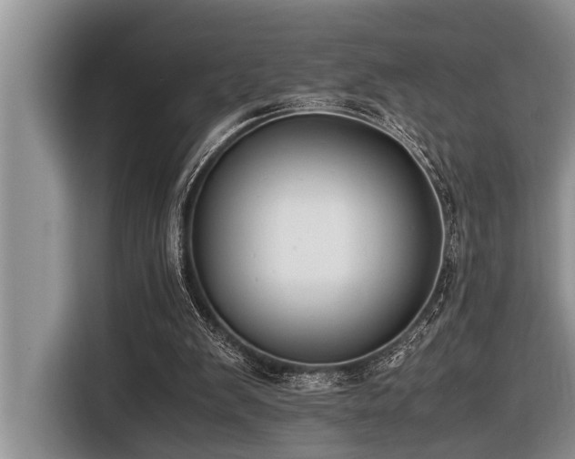 X0000116420103200912081512