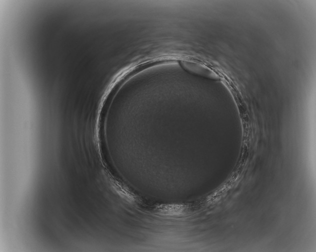 X0000116420104200912081512