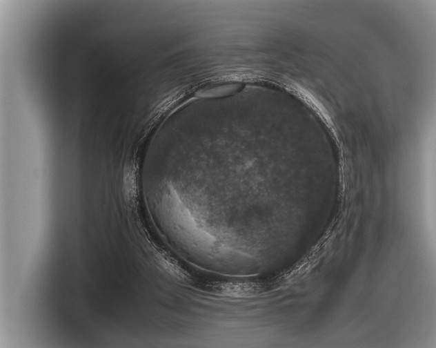 X0000116420105200912081512
