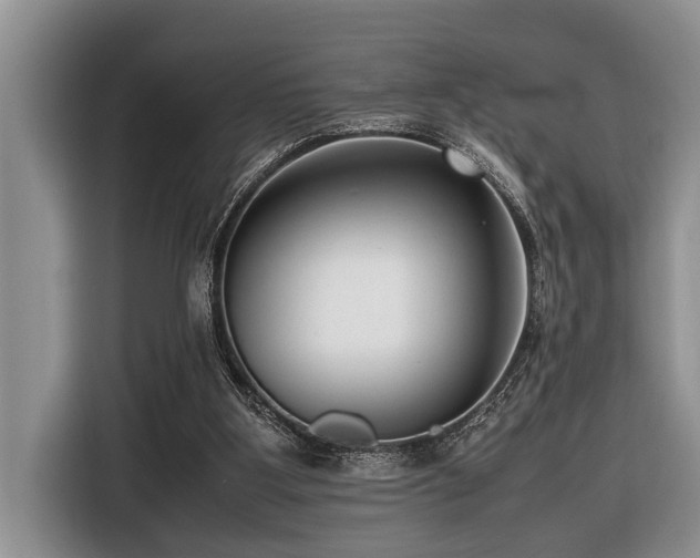 X0000116420107200912081512