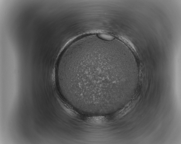 X0000116420108200912081512